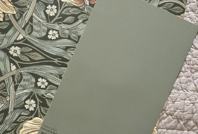 Шалфей Clean Touch